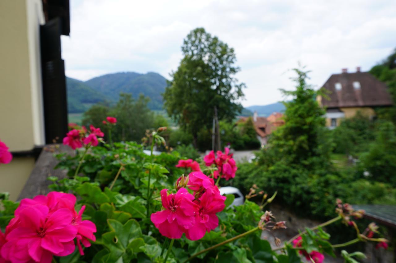 Hotel Mariandl Spitz an der Donau Buitenkant foto